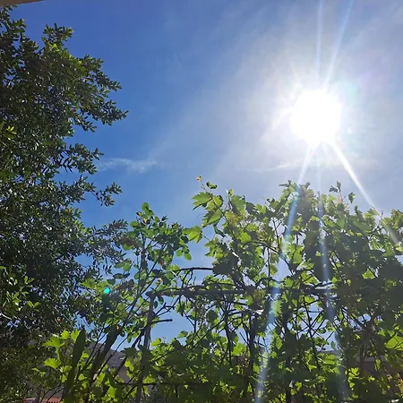 Meerzeit *