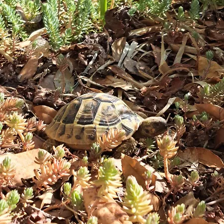Meerzeit Διαμέρισμα